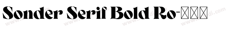Sonder Serif Bold Ro字体转换